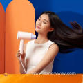 Showsee Foldable Portable Anion Negative Ion Hair Dryer